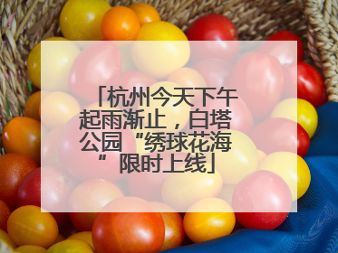 杭州今天下午起雨渐止，白塔公园“绣球花海”限时上线