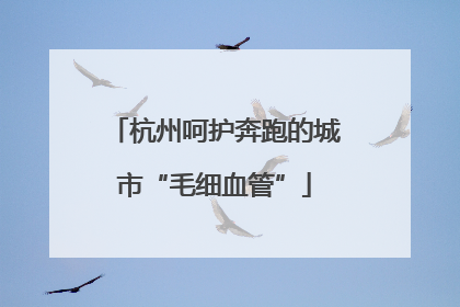 杭州呵护奔跑的城市“毛细血管”