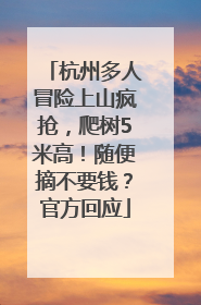 杭州多人冒险上山疯抢，爬树5米高！随便摘不要钱？官方回应