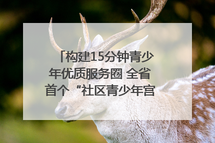 构建15分钟青少年优质服务圈 全省首个“社区青少年宫”落地成都成华区｜一老一小总关情