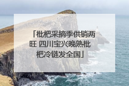 枇杷采摘季供销两旺 四川宝兴晚熟枇杷冷链发全国
