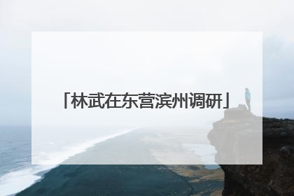 林武在东营滨州调研