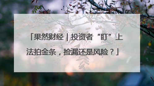 果然财经｜投资者“盯”上法拍金条，捡漏还是风险？