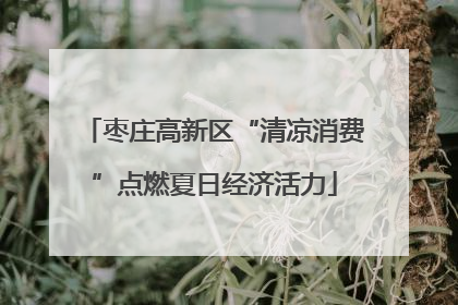枣庄高新区“清凉消费”点燃夏日经济活力