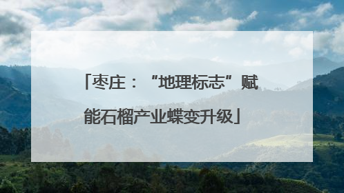 枣庄：“地理标志”赋能石榴产业蝶变升级