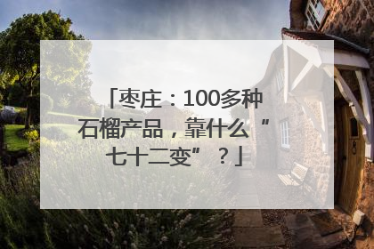 枣庄：100多种石榴产品，靠什么“七十二变”？