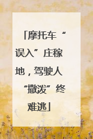 摩托车“误入”庄稼地，驾驶人“撒泼”终难逃