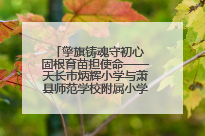 擎旗铸魂守初心 固根育苗担使命——天长市炳辉小学与萧县师范学校附属小学结对共建活动纪实