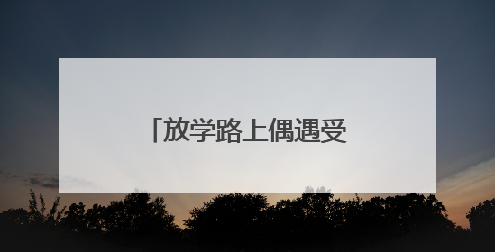 放学路上偶遇受伤夜鹭，聊城三名小学生求助民警