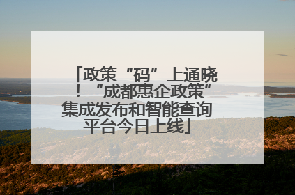 政策“码”上通晓！“成都惠企政策”集成发布和智能查询平台今日上线