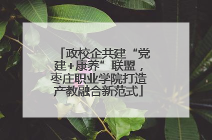政校企共建“党建+康养”联盟，枣庄职业学院打造产教融合新范式