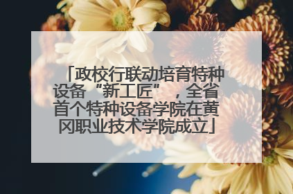 政校行联动培育特种设备“新工匠”，全省首个特种设备学院在黄冈职业技术学院成立