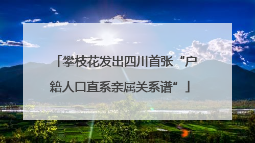 攀枝花发出四川首张“户籍人口直系亲属关系谱”