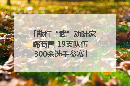 散打“武”动陆家嘴商圈 19支队伍300余选手参赛