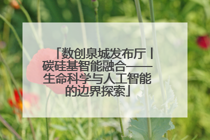 数创泉城发布厅丨碳硅基智能融合——生命科学与人工智能的边界探索
