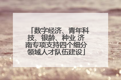 数字经济、青年科技、银龄、种业 济南专项支持四个细分领域人才队伍建设