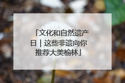 文化和自然遗产日｜这些非遗向你推荐大美榆林