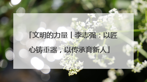 文明的力量丨李志强：以匠心铸重器，以传承育新人