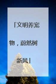 文明养宠物，蔚然树新风