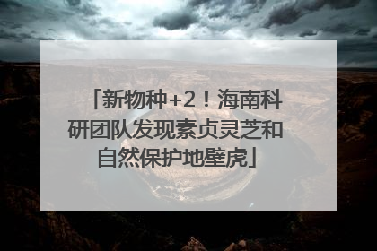 新物种+2！海南科研团队发现素贞灵芝和自然保护地壁虎