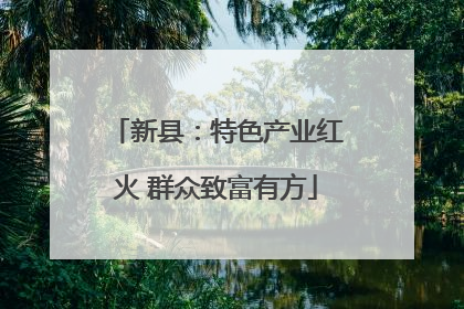 新县：特色产业红火 群众致富有方