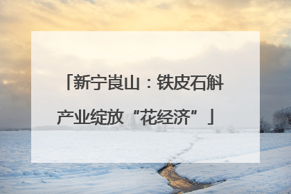 新宁崀山：铁皮石斛产业绽放“花经济”