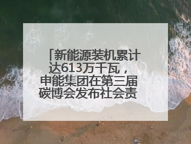 新能源装机累计达613万千瓦，申能集团在第三届碳博会发布社会责任报告