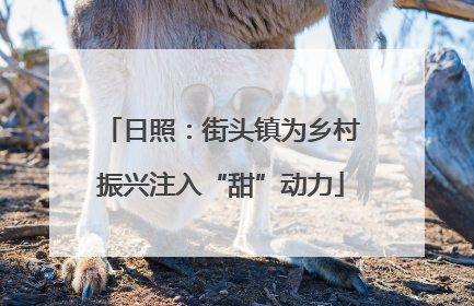 日照：街头镇为乡村振兴注入“甜”动力