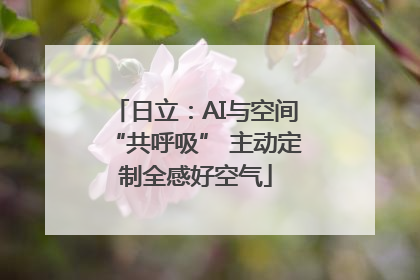 日立：AI与空间“共呼吸” 主动定制全感好空气