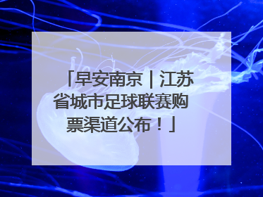 早安南京｜江苏省城市足球联赛购票渠道公布！
