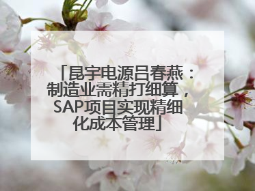 昆宇电源吕春燕：制造业需精打细算，SAP项目实现精细化成本管理