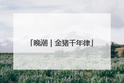 晚潮｜金猪千年律