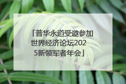 普华永道受邀参加世界经济论坛2025新领军者年会