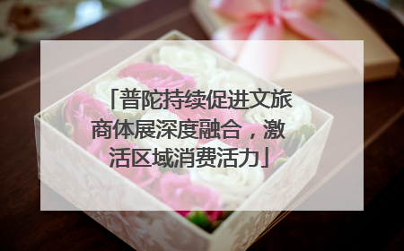 普陀持续促进文旅商体展深度融合，激活区域消费活力