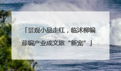景观小品走红，临沭柳编藤编产业成文旅“新宠”