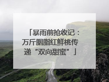 暴雨前抢收记：万斤胭脂红鲜桃传递“双向甜蜜”