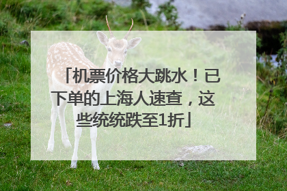 机票价格大跳水！已下单的上海人速查，这些统统跌至1折