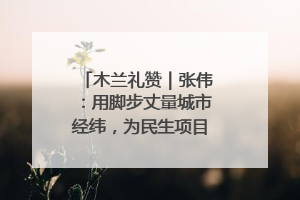木兰礼赞｜张伟：用脚步丈量城市经纬，为民生项目按下“加速键”