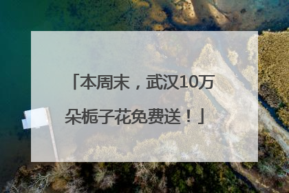 本周末，武汉10万朵栀子花免费送！