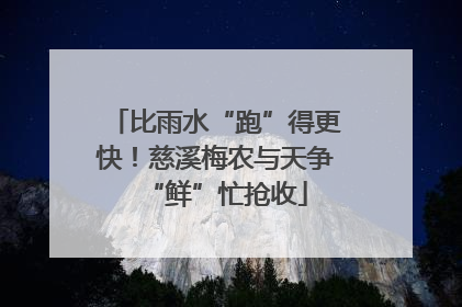 比雨水“跑”得更快！慈溪梅农与天争“鲜”忙抢收