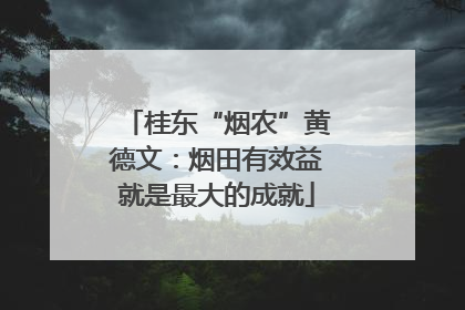 桂东“烟农”黄德文：烟田有效益就是最大的成就