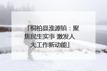 桐柏县淮源镇：聚焦民生实事 激发人大工作新动能