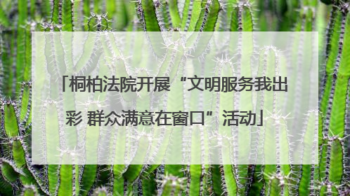 桐柏法院开展“文明服务我出彩 群众满意在窗口”活动