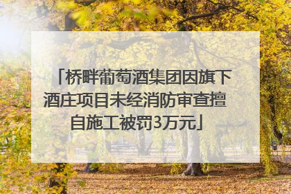 桥畔葡萄酒集团因旗下酒庄项目未经消防审查擅自施工被罚3万元