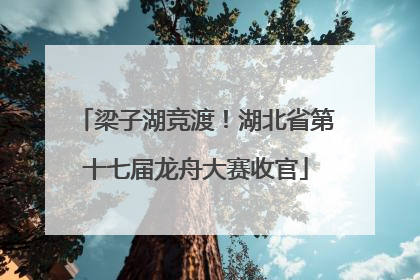 梁子湖竞渡！湖北省第十七届龙舟大赛收官