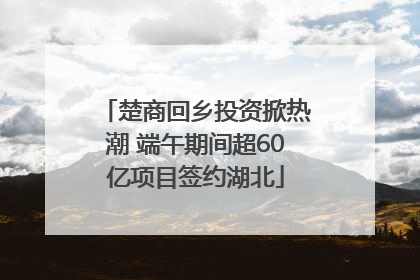楚商回乡投资掀热潮 端午期间超60亿项目签约湖北