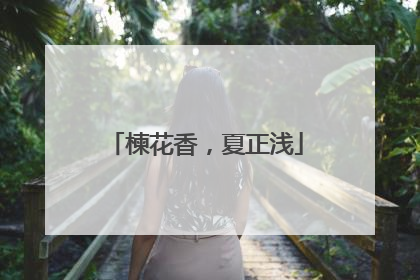 楝花香，夏正浅