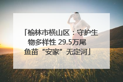 榆林市横山区：守护生物多样性 29.5万尾鱼苗“安家”无定河