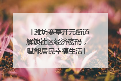 潍坊寒亭开元街道解锁社区经济密码，赋能居民幸福生活