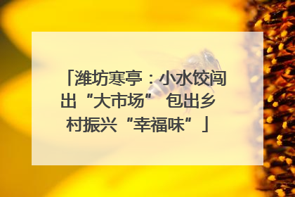 潍坊寒亭：小水饺闯出“大市场” 包出乡村振兴“幸福味”